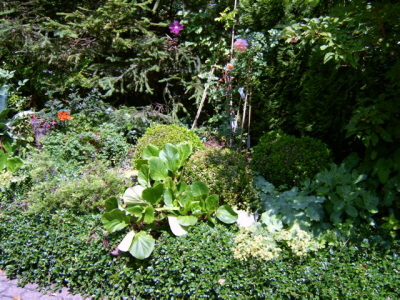 FerienwohnungFr�hst�ck 047